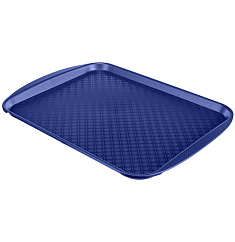 ПОДНОС (СИНИЙ) 420х300 ММ